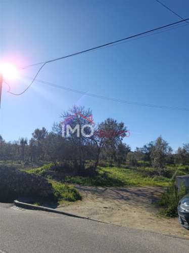 Lote de Terreno  Venda em Fortios,Portalegre