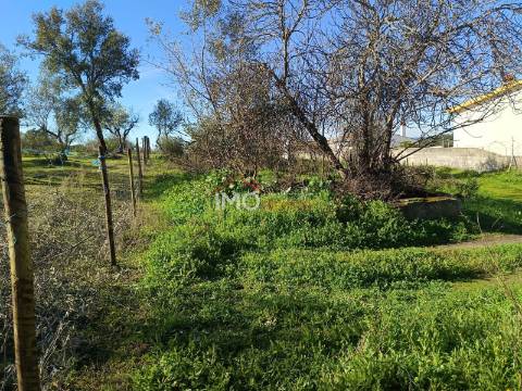 Lote de Terreno  Venda em Fortios,Portalegre