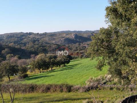 Herdade T5 Venda em Santa Maria de Marvão,Marvão