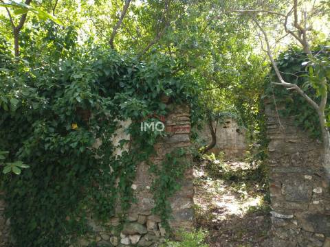 Quinta T5+1 Venda em Sé e São Lourenço,Portalegre