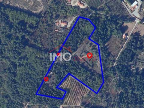 Quinta T5+1 Venda em Sé e São Lourenço,Portalegre