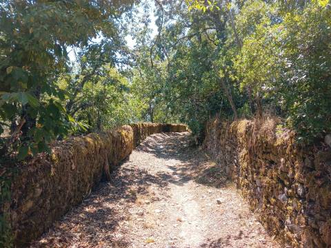 Quinta T5+1 Venda em Sé e São Lourenço,Portalegre