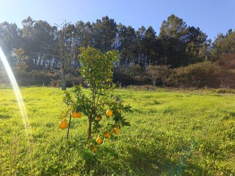 Quinta T5+1 Venda em Sé e São Lourenço,Portalegre