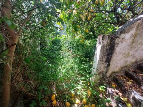 Moradia T9 Venda em Avis,Avis