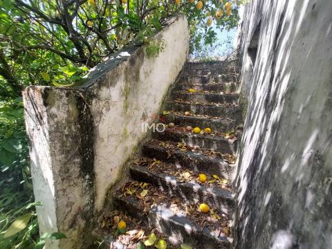 Moradia T9 Venda em Avis,Avis