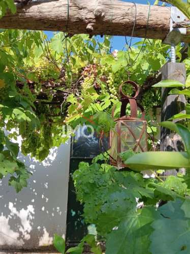 Quinta T3 Venda em Santa Maria de Marvão,Marvão