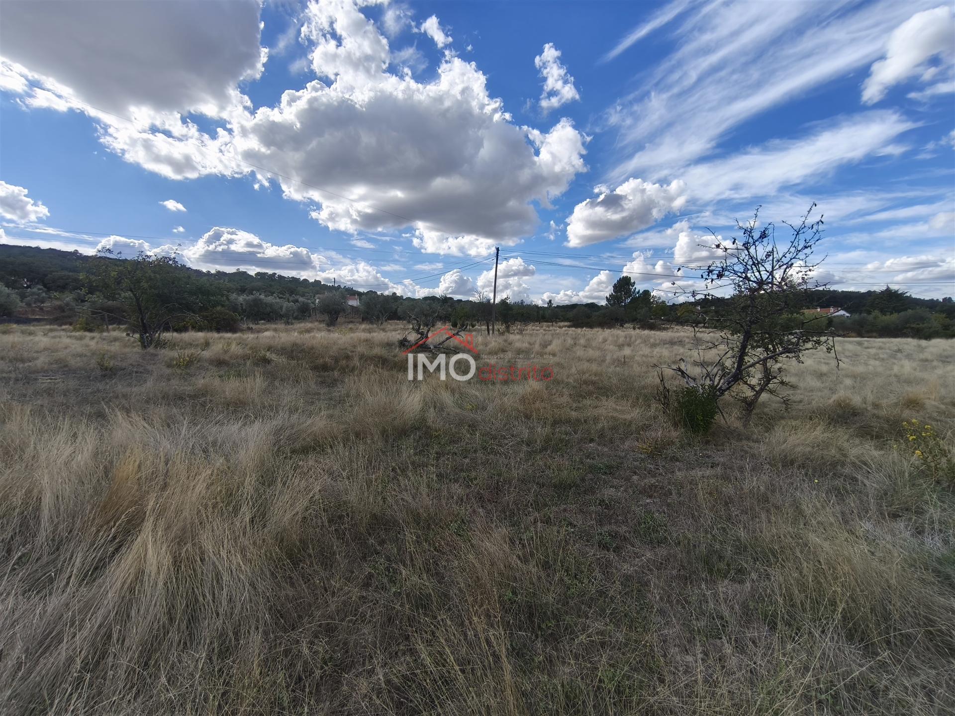 Quintinha  Venda em Sé e São Lourenço,Portalegre