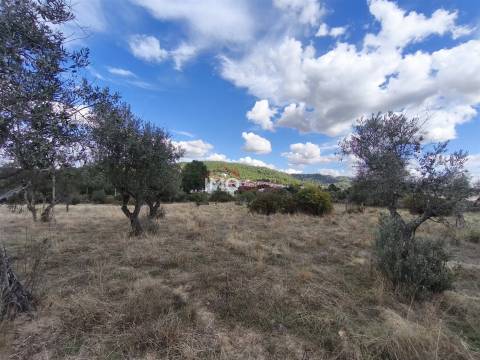 Quintinha  Venda em Sé e São Lourenço,Portalegre