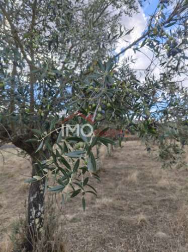 Quintinha  Venda em Sé e São Lourenço,Portalegre