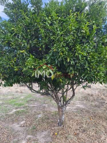 Quintinha  Venda em Sé e São Lourenço,Portalegre