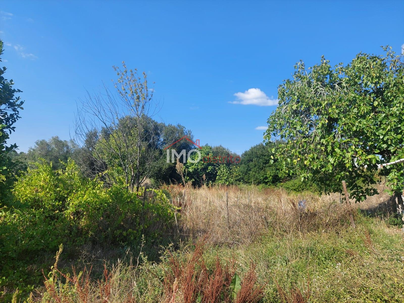 Quinta T4 Venda em Ribeira de Nisa e Carreiras,Portalegre