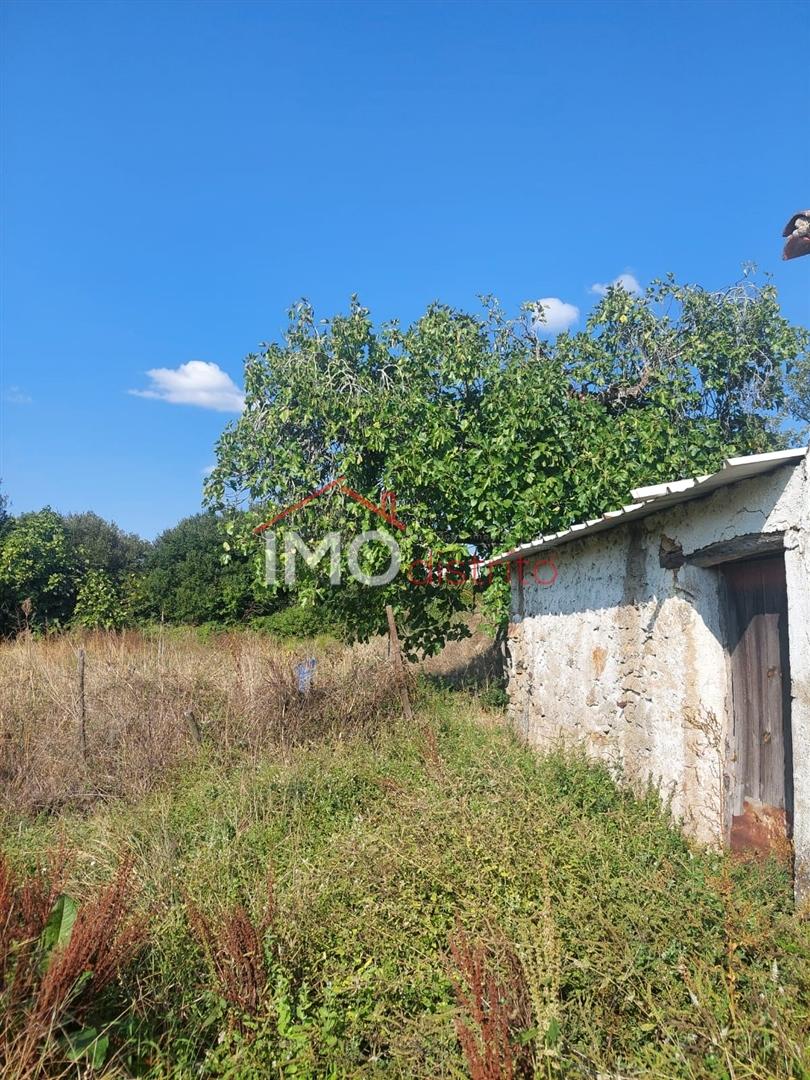 Quinta T4 Venda em Ribeira de Nisa e Carreiras,Portalegre