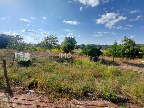 Quinta T4 Venda em Ribeira de Nisa e Carreiras,Portalegre
