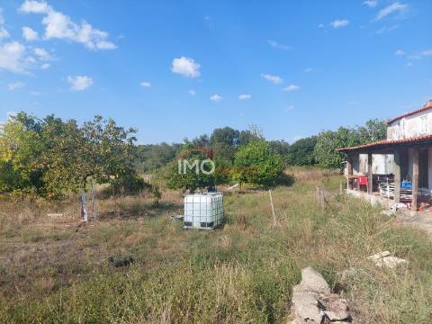 Quinta T4 Venda em Ribeira de Nisa e Carreiras,Portalegre