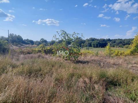 Quinta T4 Venda em Ribeira de Nisa e Carreiras,Portalegre