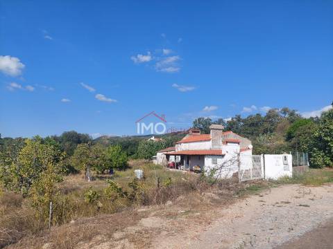 Quinta T4 Venda em Ribeira de Nisa e Carreiras,Portalegre
