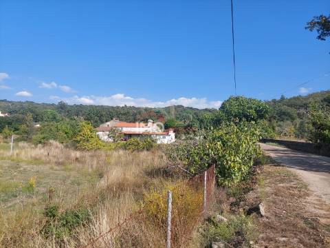 Quinta T4 Venda em Ribeira de Nisa e Carreiras,Portalegre