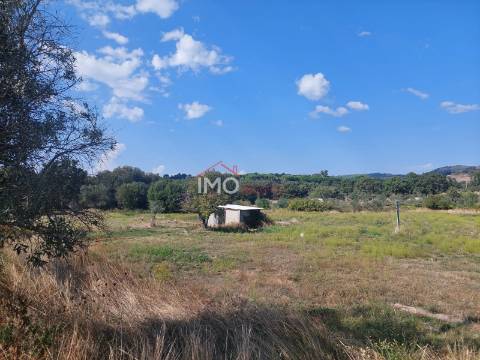 Quinta T4 Venda em Ribeira de Nisa e Carreiras,Portalegre
