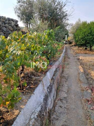 Quintinha T3+2 Venda em Fortios,Portalegre