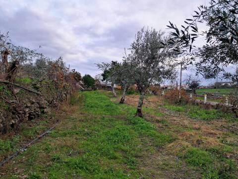 Quintinha T3+2 Venda em Fortios,Portalegre