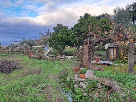 Quintinha T3+2 Venda em Fortios,Portalegre