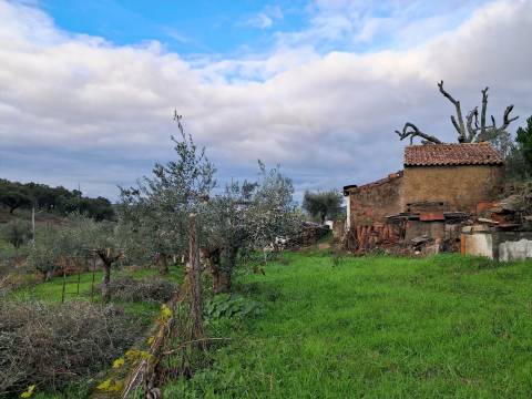 Quintinha T3+2 Venda em Fortios,Portalegre