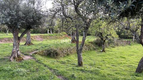 Quinta T2 Venda em Santiago Maior,Castelo de Vide