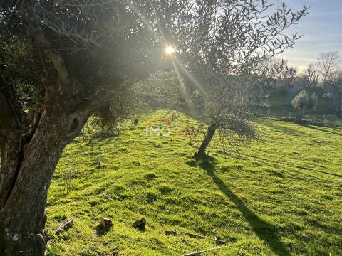 Quinta T2 Venda em Santiago Maior,Castelo de Vide