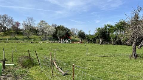Quinta T2 Venda em Santiago Maior,Castelo de Vide