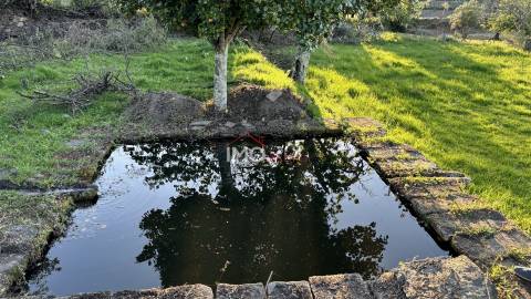 Quinta T2 Venda em Santiago Maior,Castelo de Vide