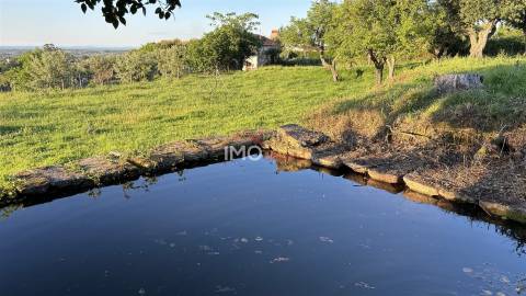 Quinta T2 Venda em Santiago Maior,Castelo de Vide