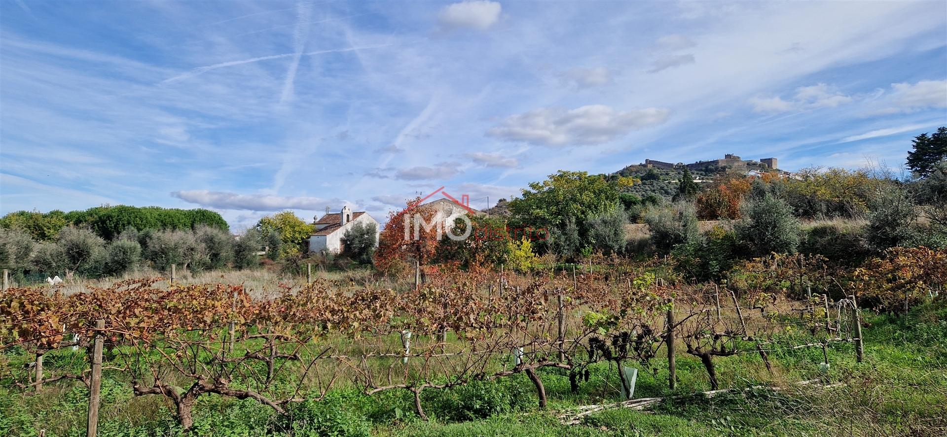 Quinta T2 Venda em Santiago Maior,Castelo de Vide