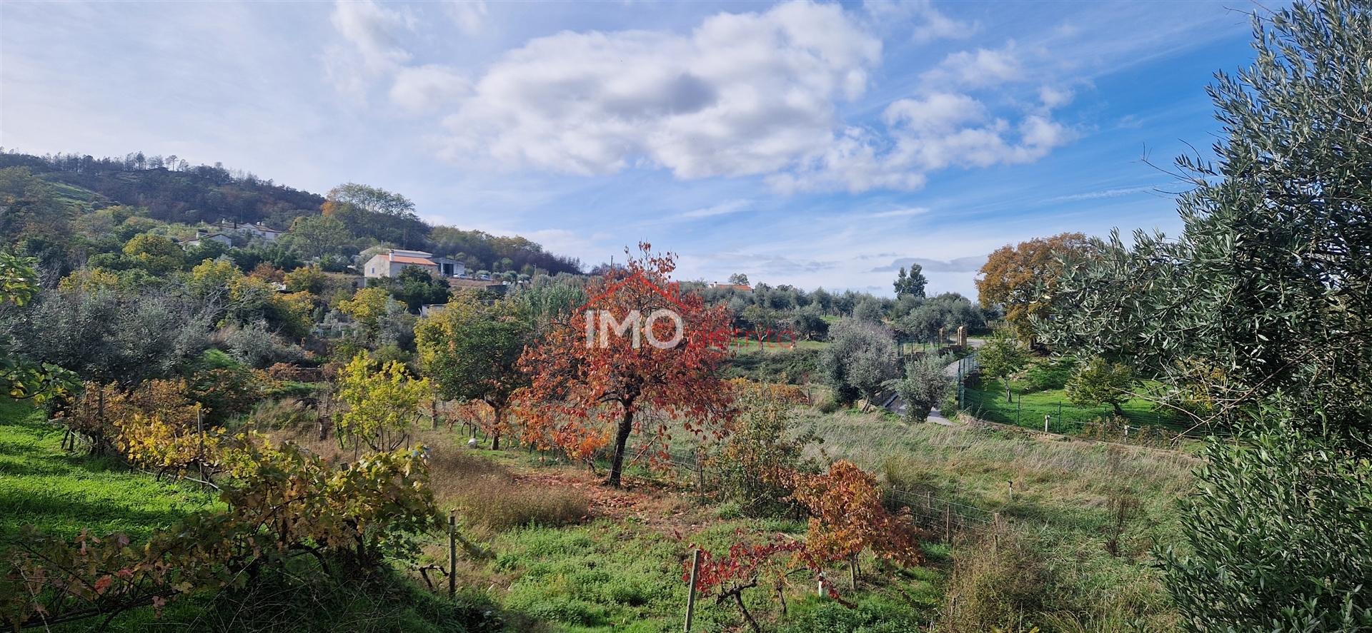 Quinta T2 Venda em Santiago Maior,Castelo de Vide