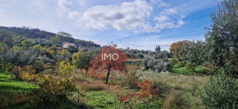 Quinta T2 Venda em Santiago Maior,Castelo de Vide