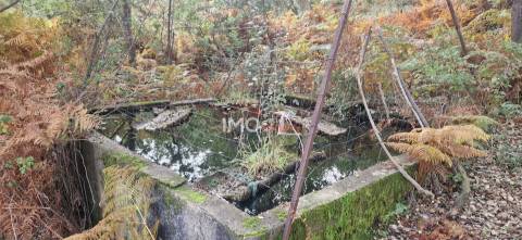 Quinta T2 Venda em São Salvador da Aramenha,Marvão