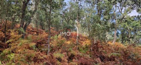 Quinta T2 Venda em São Salvador da Aramenha,Marvão