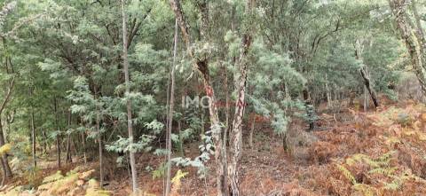 Quinta T2 Venda em São Salvador da Aramenha,Marvão