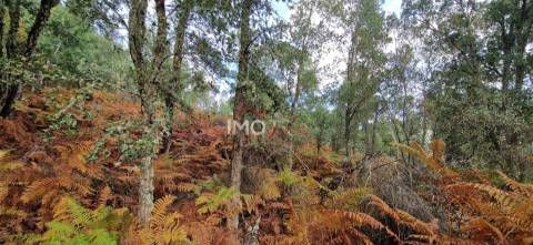Quinta T2 Venda em São Salvador da Aramenha,Marvão
