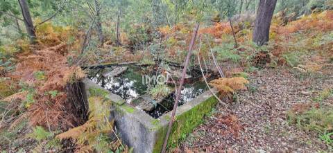 Quinta T2 Venda em São Salvador da Aramenha,Marvão