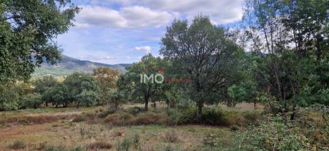 Quinta T2 Venda em São Salvador da Aramenha,Marvão