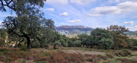 Quinta T2 Venda em São Salvador da Aramenha,Marvão