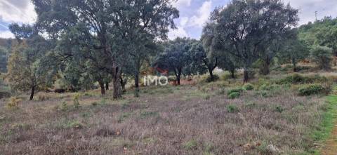 Quinta T2 Venda em São Salvador da Aramenha,Marvão