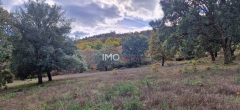 Quinta T2 Venda em São Salvador da Aramenha,Marvão