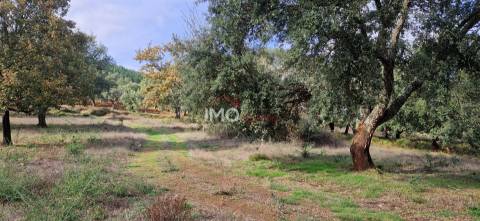 Quinta T2 Venda em São Salvador da Aramenha,Marvão
