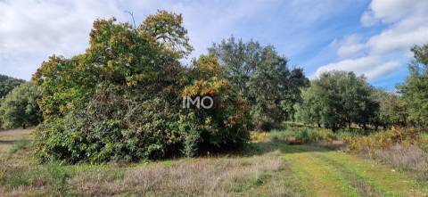 Quinta T2 Venda em São Salvador da Aramenha,Marvão