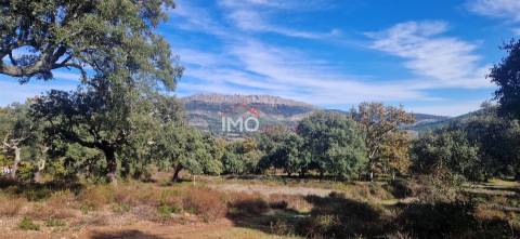 Quinta T2 Venda em São Salvador da Aramenha,Marvão