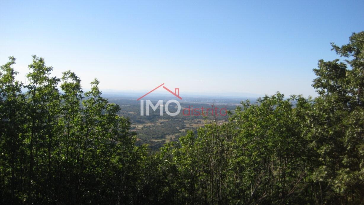 Terreno Rústico  Venda em Santa Maria de Marvão,Marvão