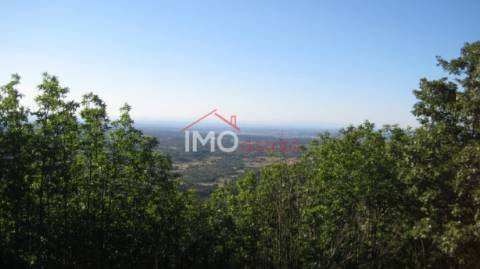 Terreno Rústico  Venda em Santa Maria de Marvão,Marvão