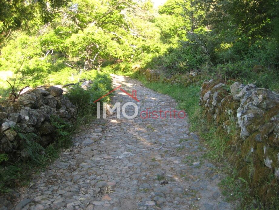 Terreno Rústico  Venda em Santa Maria de Marvão,Marvão