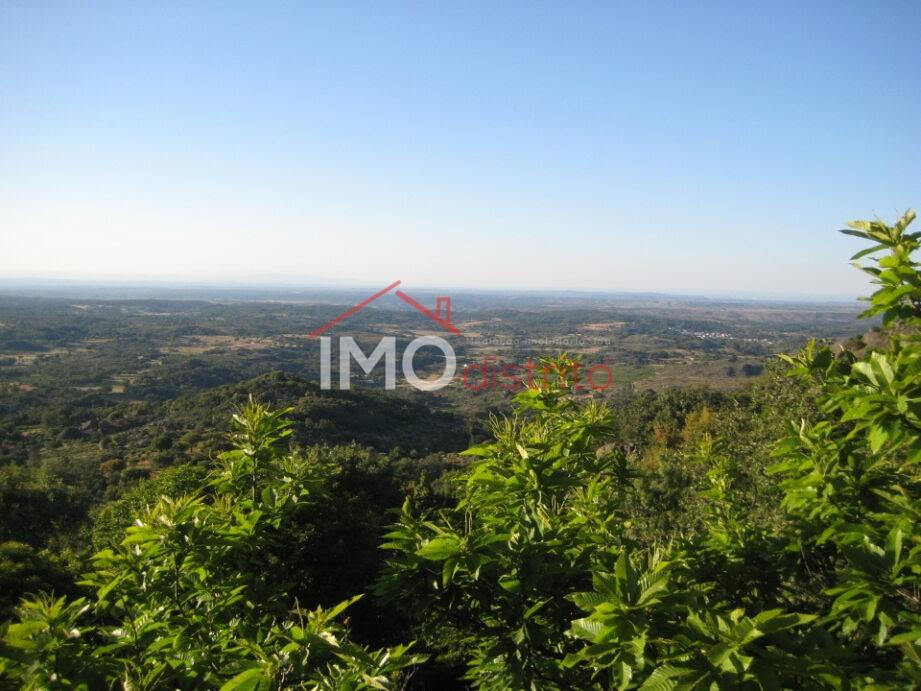 Terreno Rústico  Venda em Santa Maria de Marvão,Marvão